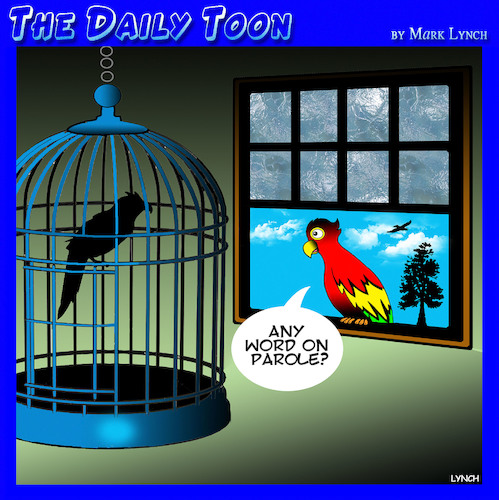 Cartoon: Parole (medium) by toons tagged parrots,parole,jail,birds,birdcage,prison,parrots,parole,jail,birds,birdcage,prison