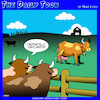Cartoon: Breast implants (small) by toons tagged implants,cows,cosmetic,surgery,breasts