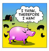 Cartoon: I Ham (small) by toons tagged philosophy,pigs,ham,psychology,farms,farmyard,animals,bacon