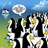 Cartoon: Identity theft cartoon (small) by toons tagged identity,theft,penguind,arctic,penguins,all,look,the,same,fraud,animals