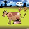 Cartoon: Implants (small) by toons tagged implants,breasts,tits,cows,cosmetic,surgery