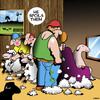 Cartoon: Spoilt (small) by toons tagged sheep,shearing,spoilt,haircur,barber,hairdresser,farming,lamb
