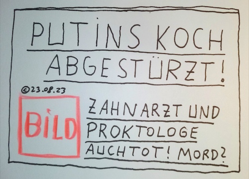 Cartoon: Putins Koch abgestürzt (medium) by Müller tagged putin,koch,russland