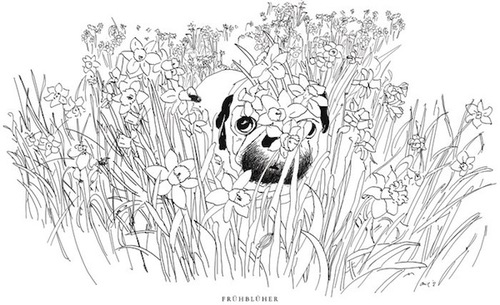 Cartoon: Frühblüher (medium) by Mops royal tagged mops,narzissen,ostern,frühling,osterglocken