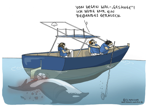 Cartoon: Walgesänge (medium) by H Mercker tagged wal,boot,forschung,walforscher,tierschutz,walgesang,walgesänge,mikrophon,mikrofon,mikro,meer,ozean,see,schiff,wal,boot,forschung,walforscher,tierschutz,walgesang,walgesänge,mikrophon,mikrofon,mikro,meer,ozean,see,schiff