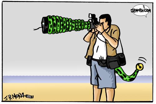 Cartoon: Paparazzi (medium) by jrmora tagged paparazzi,press,famous,