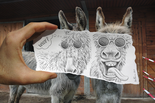 Cartoon: Pencil Vs Camera - 12 (medium) by BenHeine tagged pencil,vs,camera,traditional,digital,drawing,photography,donkey,ane,ben,heine,mad,crazy,hears,oreilles,sunglasses,tongue,couple,why,pourquoi,condition,happy,heureux,mise,en,abyme,conceptual,new,art,series,optical,illusion,2d,3d,sketch,nature,countryside,b