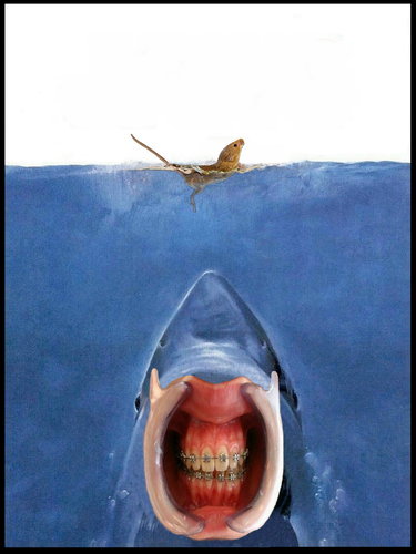 Cartoon: The shark attack! (medium) by willemrasingart tagged mousekiller