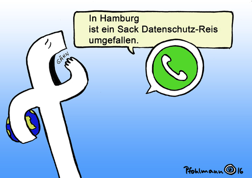 Datenschutz-Reis