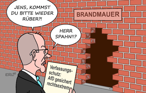 AfD AfD
