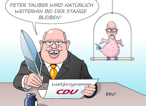 Altmaier federführend