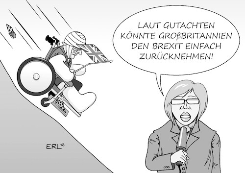 Brexit-Rücknahme