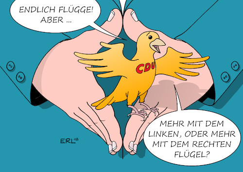 CDU wird flügge