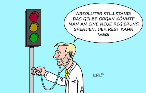 FDP-Diagnose