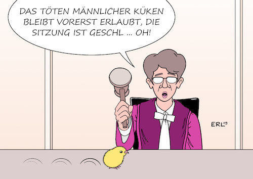 Cartoon: Küken (medium) by Erl tagged politik,landwirtschaft,tierhaltung,massentierhaltung,hühner,eier,küken,männlich,schlüpfen,schreddern,vergasen,töten,urteil,bundesverwaltungsgericht,erlaubnis,befristet,embryonen,erkennung,ei,richterin,hammer,justiz,gericht,tierschutz,karikatur,erl,politik,landwirtschaft,tierhaltung,massentierhaltung,hühner,eier,küken,männlich,schlüpfen,schreddern,vergasen,töten,urteil,bundesverwaltungsgericht,erlaubnis,befristet,embryonen,erkennung,ei,richterin,hammer,justiz,gericht,tierschutz,karikatur,erl