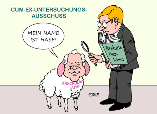 Cartoon: Scholz im Schafspelz (medium) by Erl tagged politik,cum,ex,affäre,betrug,rückerstattung,steuern,kapitalertragssteuer,steuerhinterziehung,untersuchungsausschuss,befragung,olaf,scholz,vergangenheit,bürgermeister,hamburg,verzicht,forderung,steuerzahlung,bankhaus,warburg,unschuldslamm,name,hase,brehms,tierleben,karikatur,erl,politik,cum,ex,affäre,betrug,rückerstattung,steuern,kapitalertragssteuer,steuerhinterziehung,untersuchungsausschuss,befragung,olaf,scholz,vergangenheit,bürgermeister,hamburg,verzicht,forderung,steuerzahlung,bankhaus,warburg,unschuldslamm,name,hase,brehms,tierleben,karikatur,erl