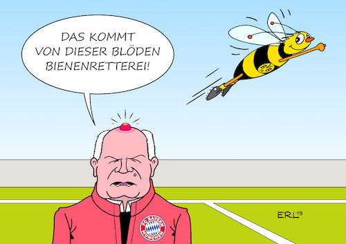 Cartoon: Supercup (medium) by Erl tagged politik,sport,fußball,supercup,fc,bayern,münchen,bvb,borussia,dortmund,sieg,uli,hoeneß,ärger,bienenstich,bürgerinitiative,rettet,die,bienen,agrarwende,umweltschutz,klimaschutz,klimawandel,grünen,csu,karikatur,erl,politik,sport,fußball,supercup,fc,bayern,münchen,bvb,borussia,dortmund,sieg,uli,hoeneß,ärger,bienenstich,bürgerinitiative,rettet,die,bienen,agrarwende,umweltschutz,klimaschutz,klimawandel,grünen,csu,karikatur,erl