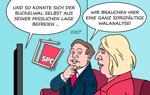Cartoon: Verhaltensforschung (medium) by Erl tagged politik,spd,umfragetief,niederlage,wahlen,wahl,wal,buckelwal,befreiung,sandbank,wahlanalyse,klingbeil,bas,karikatur,erl,verhaltensforschung