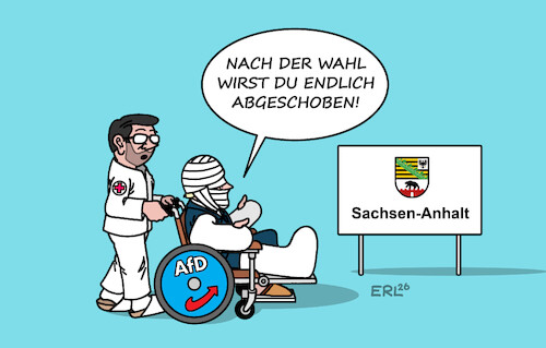 Cartoon: Weitblick (medium) by Erl tagged politik,wahl,landtagswahl,sachsen,anhalt,afd,rechtsextremismus,remigration,pflegekräfte,ärztinnen,ärzte,karikatur,erl,politik,wahl,landtagswahl,sachsen,anhalt,afd,rechtsextremismus,remigration,pflegekräfte,ärztinnen,ärzte,karikatur,erl