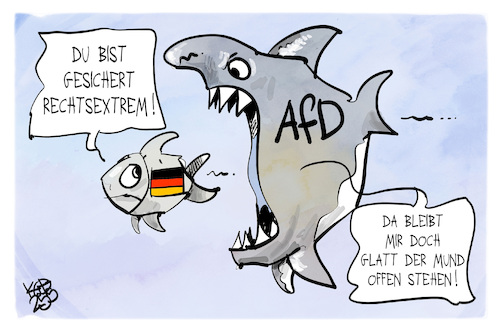AfD AfD
