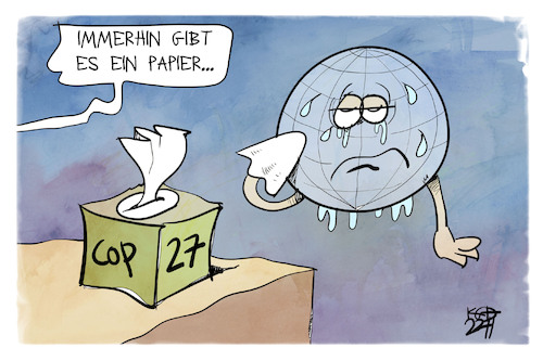 COP 27