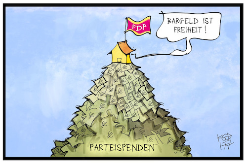 FDP-Parteispende