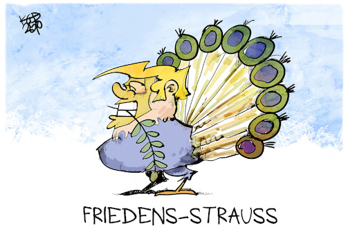 Friedens-Strauß Friedens-Strauß