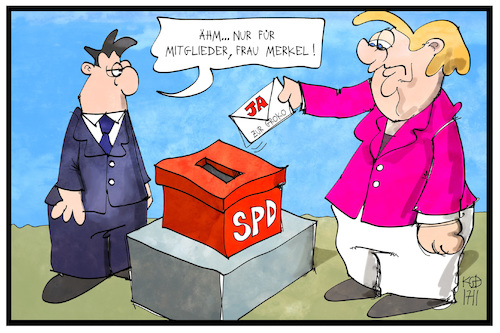 SPD-Befragung
