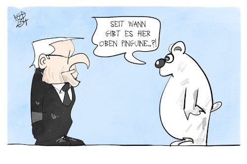 Cartoon: Steinmeier in der Arktis (medium) by Kostas Koufogiorgos tagged karikatur,koufogiorgos,arktis,pinguin,eisbär,steinmeier,karikatur,koufogiorgos,arktis,pinguin,eisbär,steinmeier
