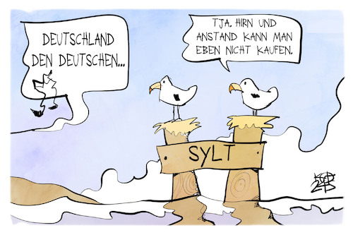 Cartoon: Sylt (medium) by Kostas Koufogiorgos tagged karikatur,koufogiorgos,sylt,möwe,rechtsextremismus,reich,hirn,karikatur,koufogiorgos,sylt,möwe,rechtsextremismus,reich,hirn