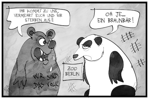 Cartoon: Von Panda- und Braunbären (medium) by Kostas Koufogiorgos tagged karikatur,koufogiorgos,illustration,cartoon,panda,zoo,berlin,braunbär,ausländerfreindlichkeit,rassismus,tier,karikatur,koufogiorgos,illustration,cartoon,panda,zoo,berlin,braunbär,ausländerfreindlichkeit,rassismus,tier