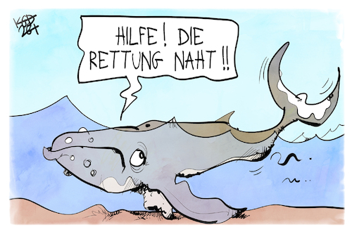 Cartoon: Walrettung (medium) by Kostas Koufogiorgos tagged karikatur,koufogiorgos,wal,timmy,rettung,hilfe,ostsee,karikatur,koufogiorgos,wal,timmy,rettung,hilfe,ostsee