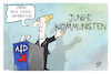 AfD