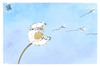 Cartoon: Die Linke (small) by Kostas Koufogiorgos tagged karikatur,koufogiorgos,linke,pusteblume,löwenzahn,bartsch