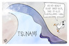 Seebeben und Tsunami