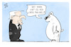 Cartoon: Steinmeier in der Arktis (small) by Kostas Koufogiorgos tagged karikatur,koufogiorgos,arktis,pinguin,eisbär,steinmeier