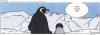 Cartoon: POLE Strip No.36 (small) by Penguin_guy tagged penguins pinguine pets tiere animals dad vater son sohn 
