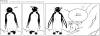 Cartoon: POLE Strip No. 45 (small) by Penguin_guy tagged penguins,pinguine,pets,tiere,animals,global,warming,treibhauseffekt,erderwaermung,umweltverschmutzung,pollution,summer,sommer,hot,heiss,sonne,sun