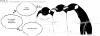 Cartoon: POLE Strip No. 50 (small) by Penguin_guy tagged penguins pinguine pets tiere animals global warming treibhauseffekt erderwaermung umweltverschmutzung pollution winter cold kalt whiteout thomas baehr klimawandel climate change