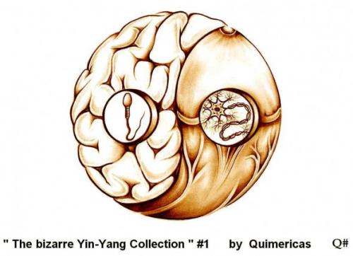 THE BIZARRE YIN YANG COLLECTION THE BIZARRE YIN YANG COLLECTION