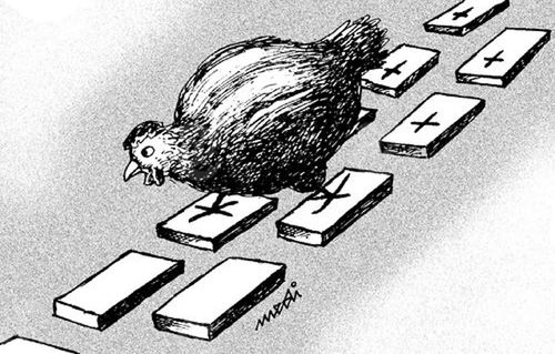 Cartoon: a dangerous chicken (medium) by Medi Belortaja tagged chicken,dangerous,epidemics,bird,flu