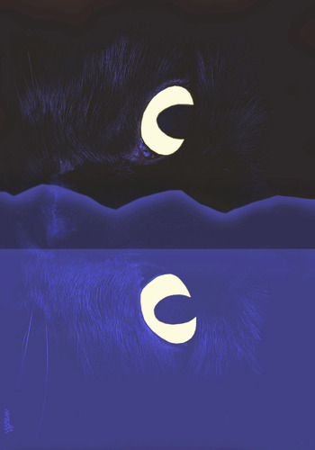 Cartoon: cat s eyes (medium) by Medi Belortaja tagged water,reflection,eyes,cat,night,moon