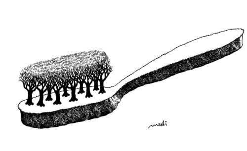 Cartoon: natural toothbrush (medium) by Medi Belortaja tagged ecology,toothbrush,nature,trees