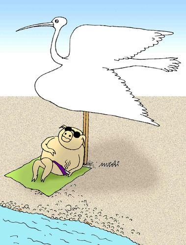 Cartoon: seaside (medium) by Medi Belortaja tagged umbrella,beach,holidays,seaside,bird,pig,humor