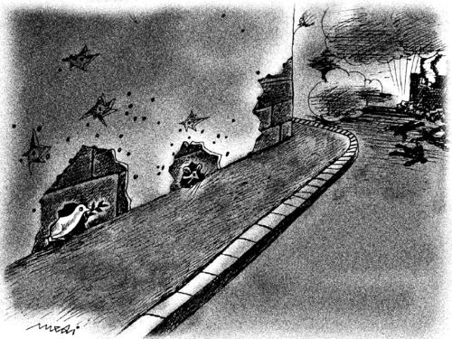 Cartoon: terror of war (medium) by Medi Belortaja tagged conflict,colombo,dove,pigeon,terror,peace,war