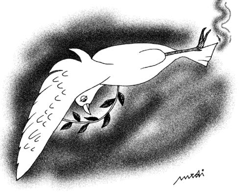 Cartoon: peace gun (medium) by Medi Belortaja tagged colombo,dove,pigeon,gun,war,peace