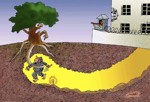 Cartoon: the tree catch imprisoned (medium) by Medi Belortaja tagged jail,prison,imprisoned,catch,tree,prisoner