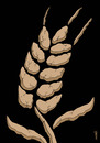Cartoon: african wheat (small) by Medi Belortaja tagged african,wheat