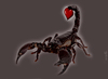 Cartoon: dangerous lover (small) by Medi Belortaja tagged dangerous,lover,love,poison,heart,scorpion