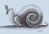 Cartoon: peace snail (small) by Medi Belortaja tagged peace snail dove pigeon colombo slowly